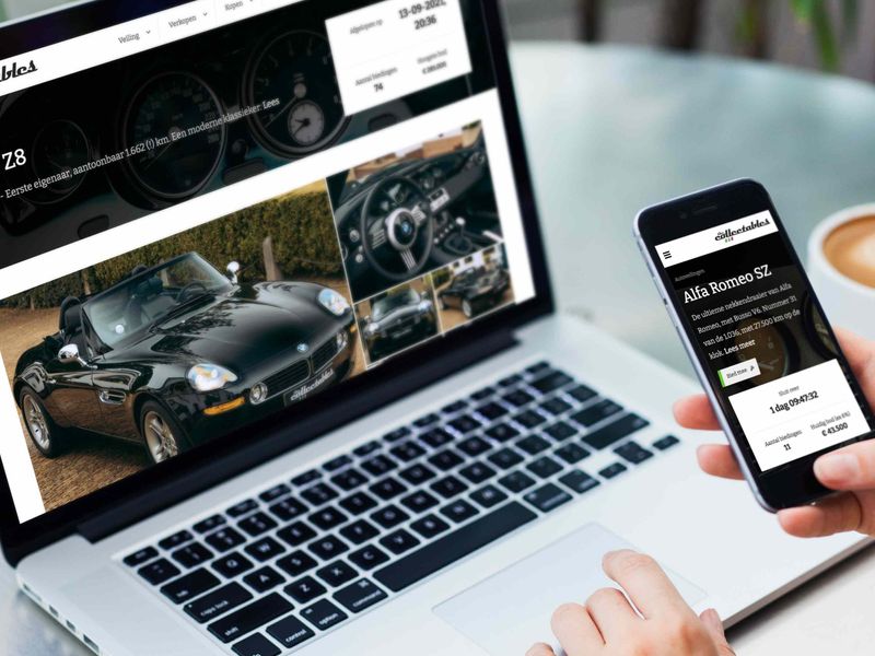 Veilingsite laten maken