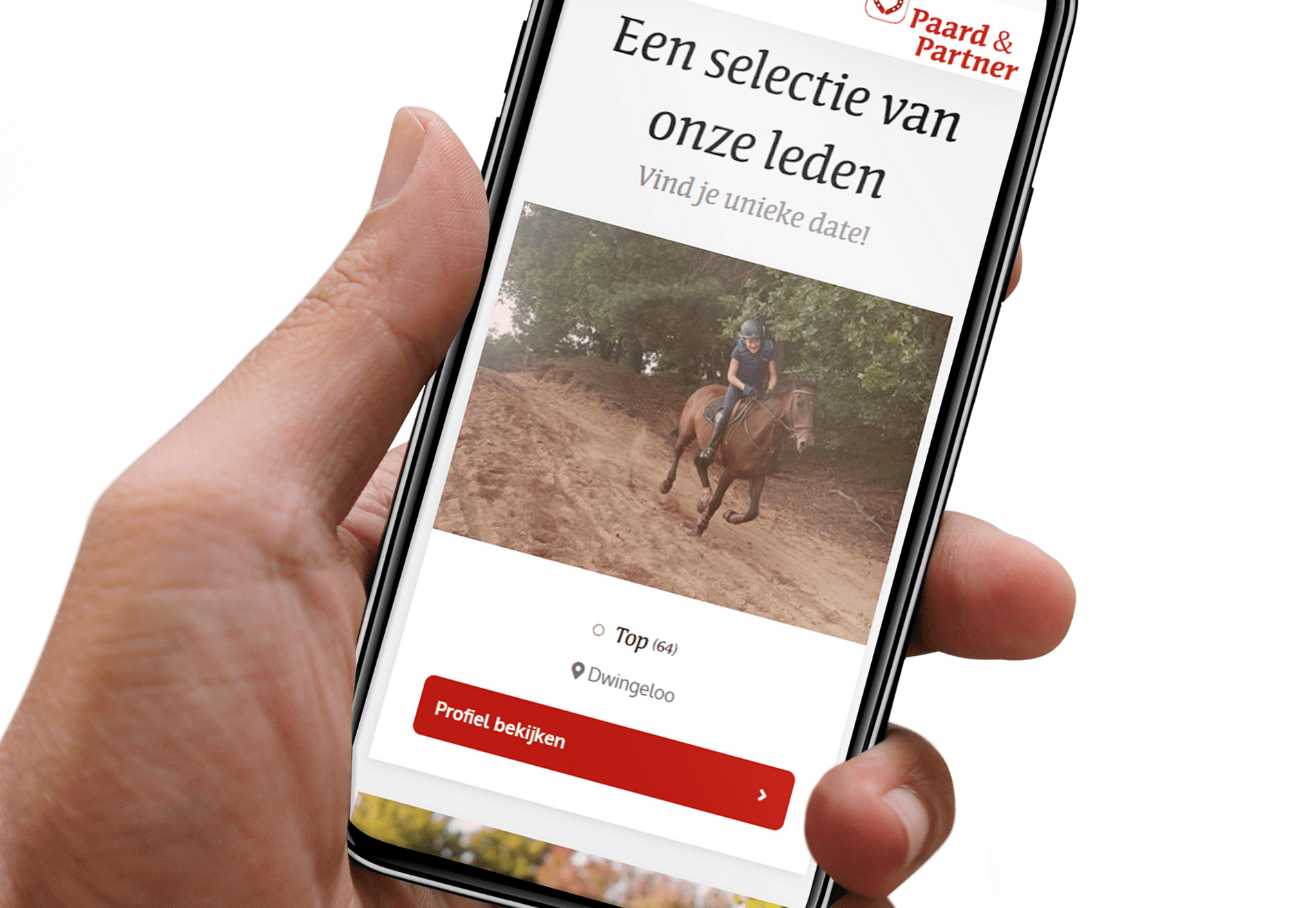 Eigen datingsite voor paardenmensen bouwen
